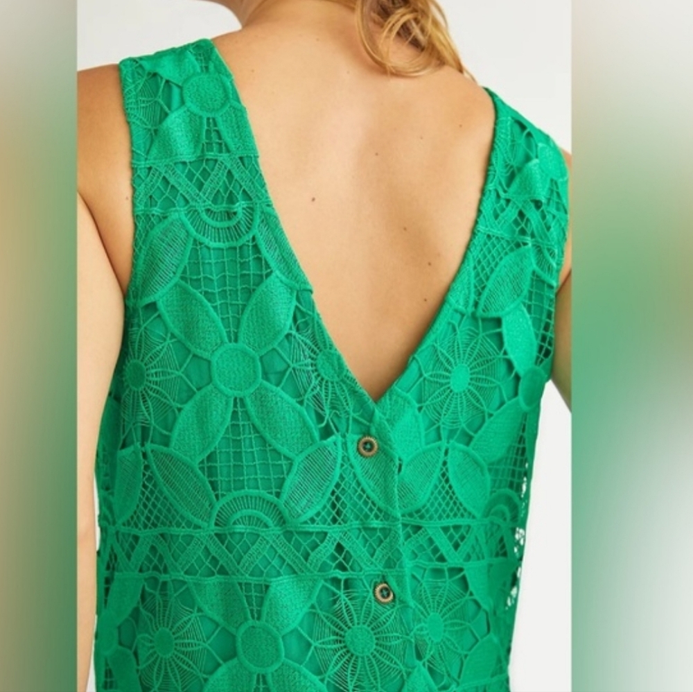 Anthropologie Green Lace Shift Dress - Picture 3 of 8